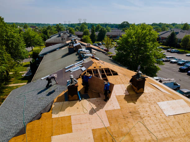 Roof Gutter Cleaning in Walkerton, IN